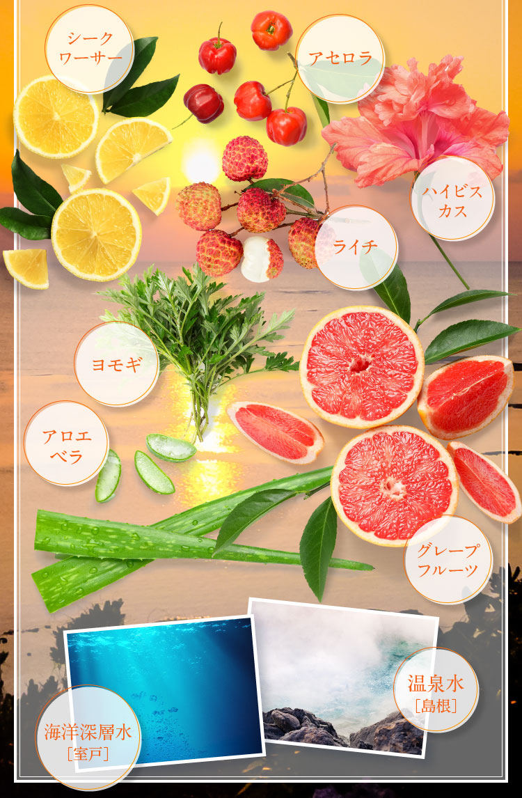 シークワーサー、アセロラ、ハイビスカス、アロエベラ、ヨモギ、ライチ、グレープフルーツ、海洋深層水、温泉水